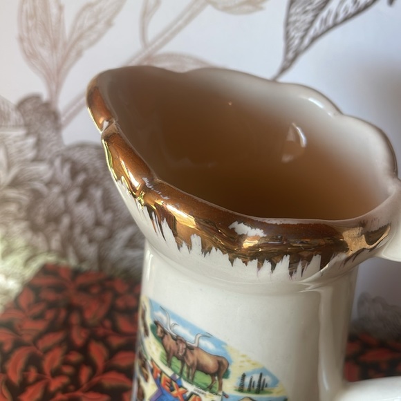 Vintage Texas Creamer - Picture 3 of 8